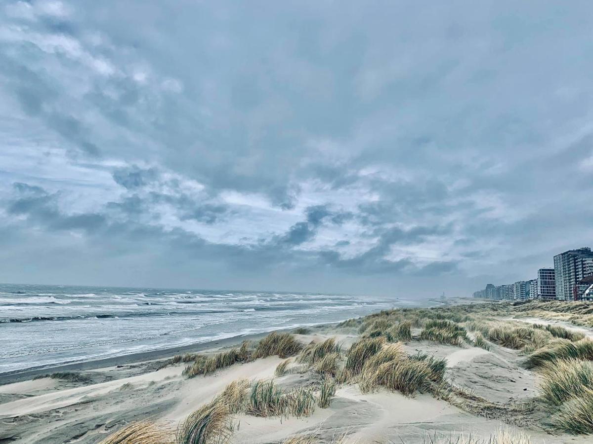 B&B Huize Van Damme Nieuwpoort Zewnętrze zdjęcie