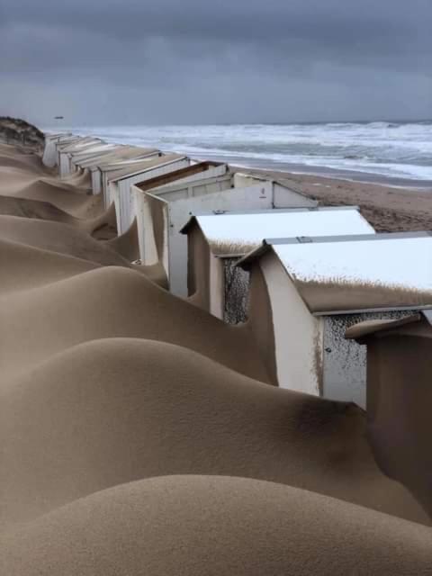 B&B Huize Van Damme Nieuwpoort Zewnętrze zdjęcie